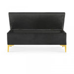 Lade das Bild in den Galerie-Viewer, Bank Truhe "Chloé" Samt Schwarz goldene Füße
